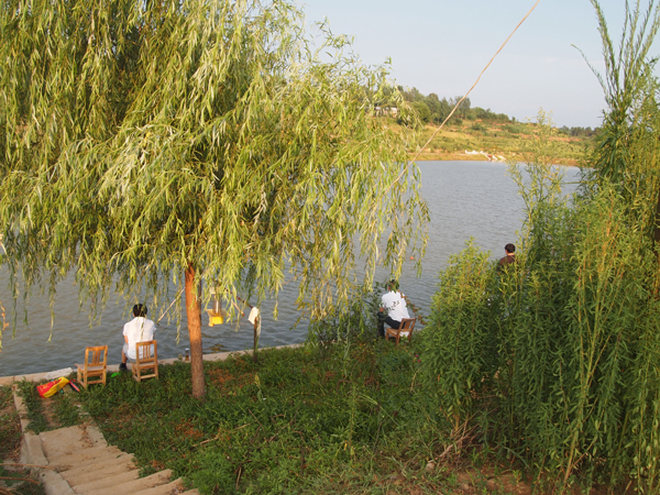簡單生活，魚樂其中